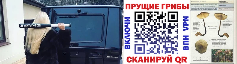 Галлюциногенные грибы Cubensis  Новотитаровская 